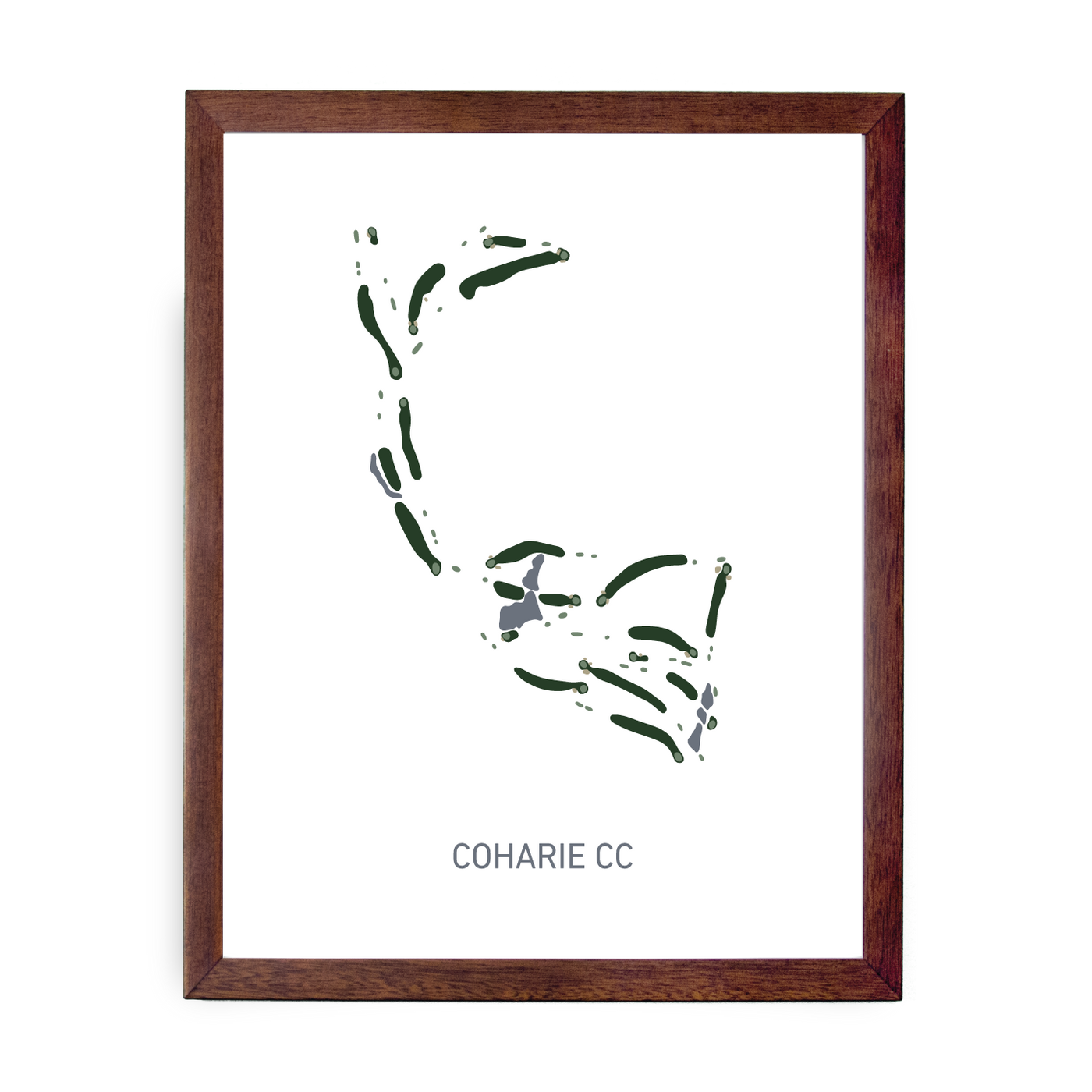 Coharie CC (Traditional)