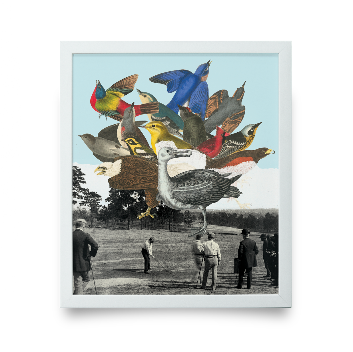Golf Art - Birdie Ball Giclée Print (White Wood Frame)