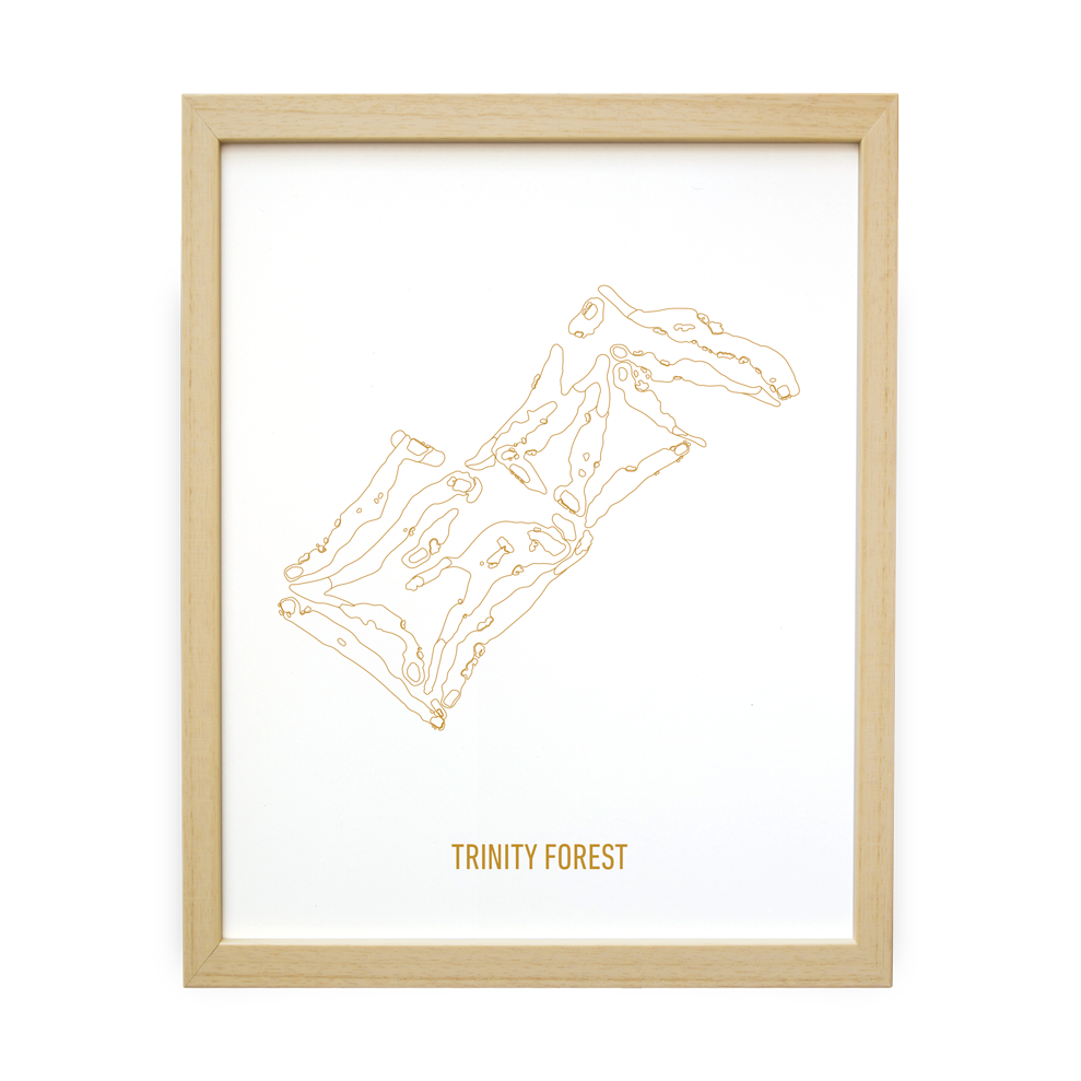 Trinity Forest (Gold Collection)