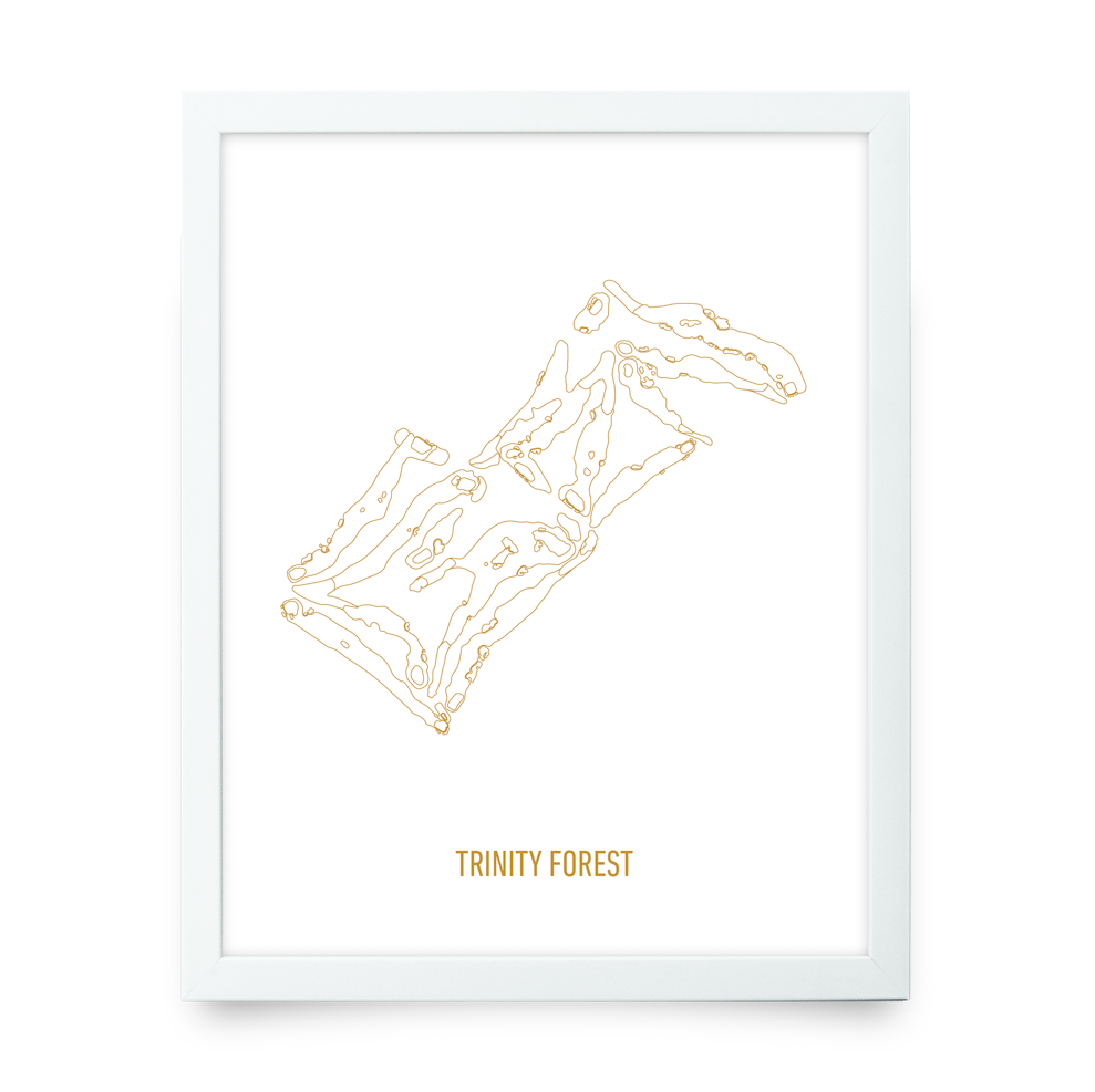 Trinity Forest (Gold Collection)
